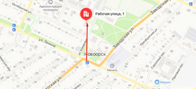 Органы опеки Новоорска