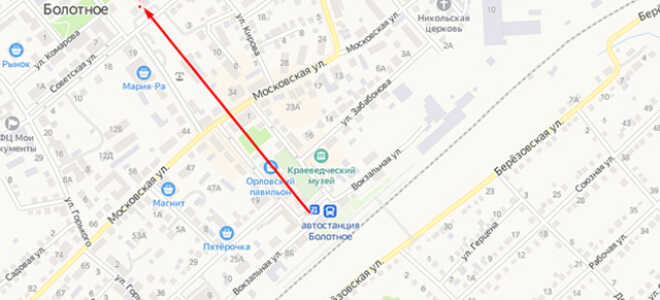 Органы опеки Болотного