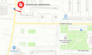 Органы опеки г. Кириши