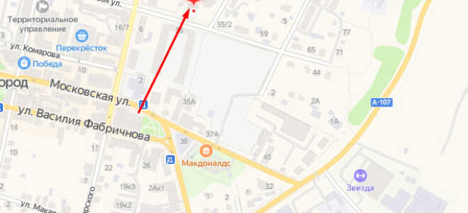 Органы опеки Звенигорода