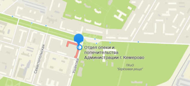 Органы опеки Рудничного района Кемерово