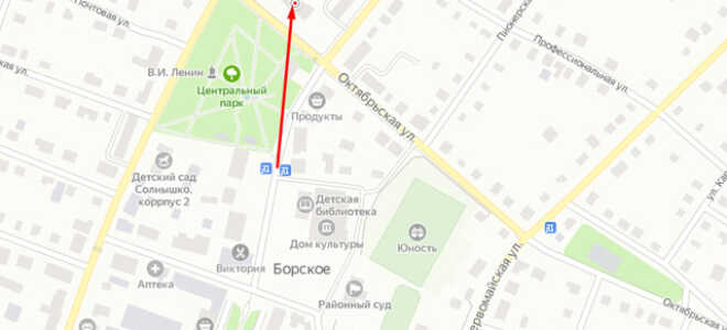 Органы опеки Борского района Самарской области