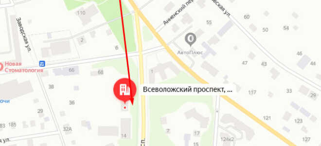 Органы опеки Мурино