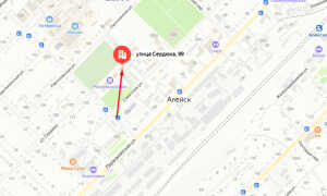 Органы опеки Алейск