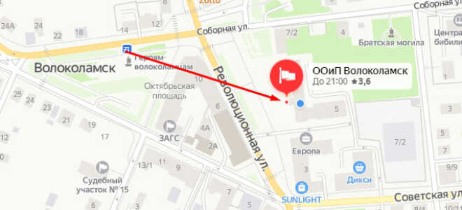 Органы опеки в Шаховской